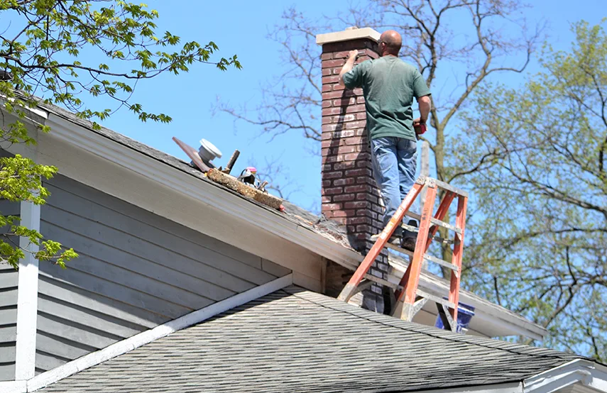 Chimney & Fireplace Inspections Services in Friendswood, TX